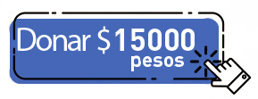 Donar 15 mil pesos por unica vez