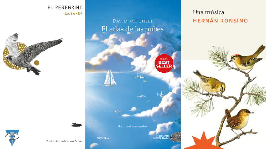 Que leemos en tiflolibros edicion noviembre